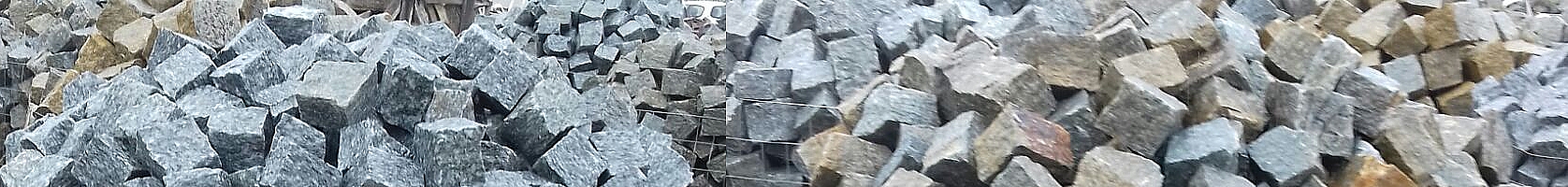 logo Benedetto Silvio