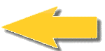 logo Benedetto Silvio